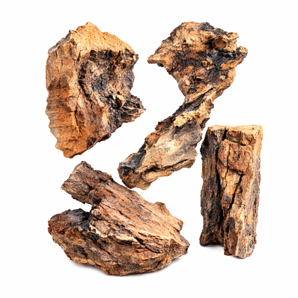 Healthy Paws Buffalo Lungs - 130g